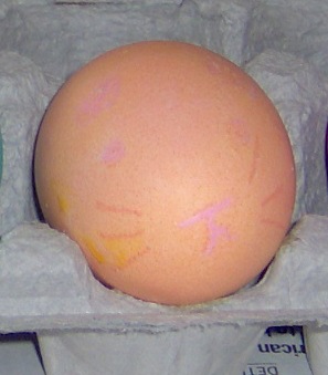 Guinea Pig Easter Egg
