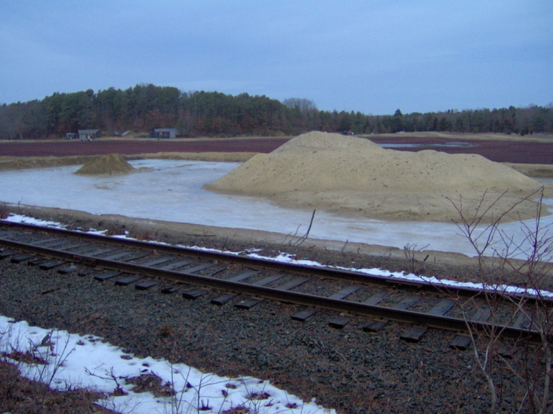 Cranberry Bog