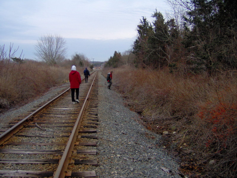 West Barnstable Train