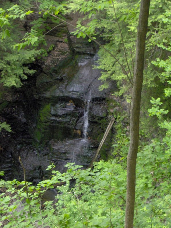 Barnes Creek Falls