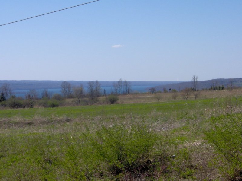 Cayuga Lake