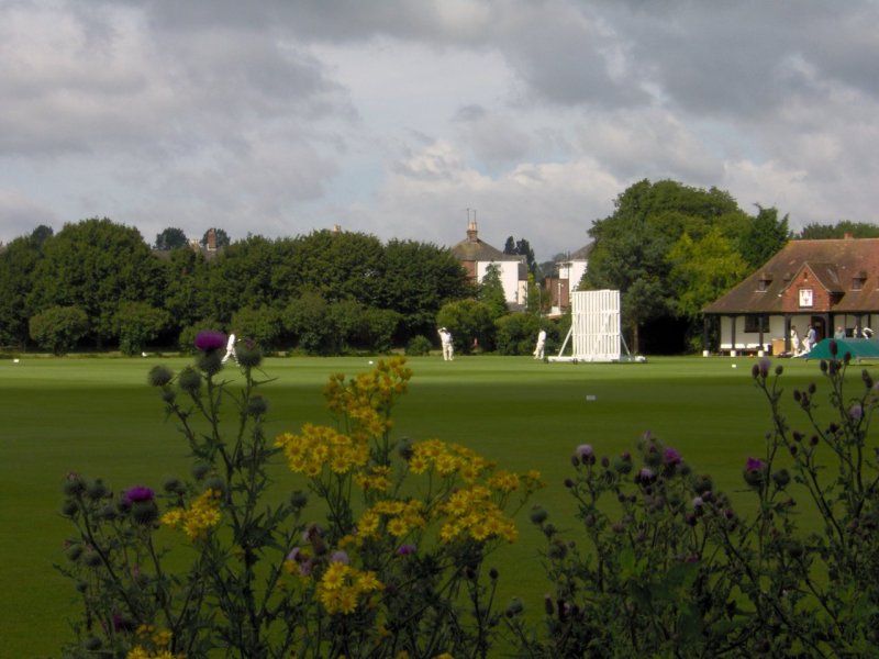 Cricket Practice