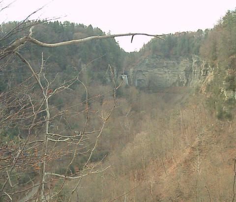 Taughannock in the Distance