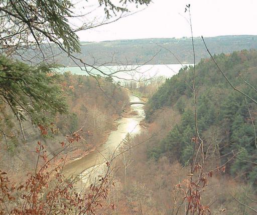Cayuga Lake from on high