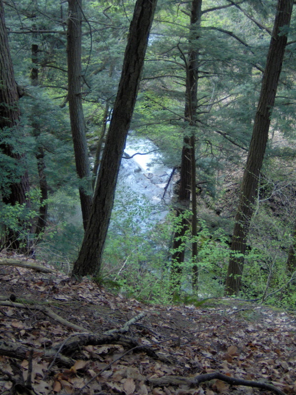 Potter's Falls from above