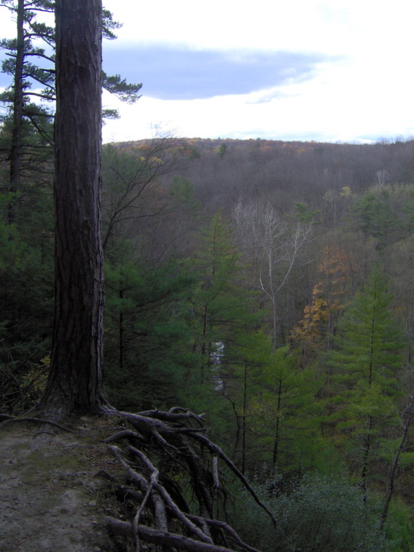 Treman Overlook