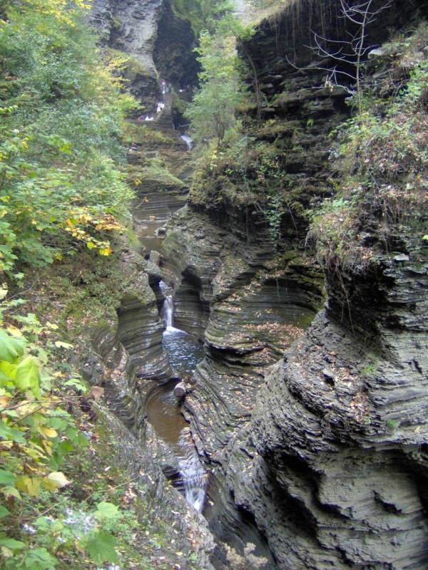 Watkins Glen