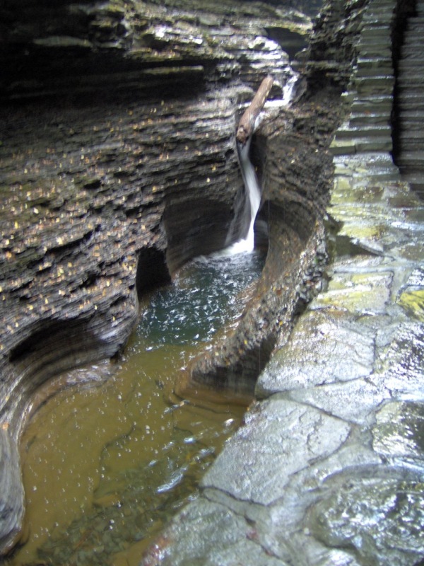 Watkins Glen