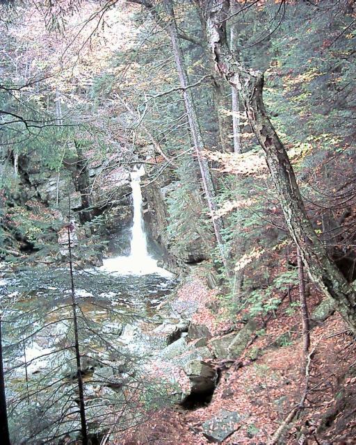 Kinsman Falls