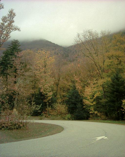 Beaver Parking Lot