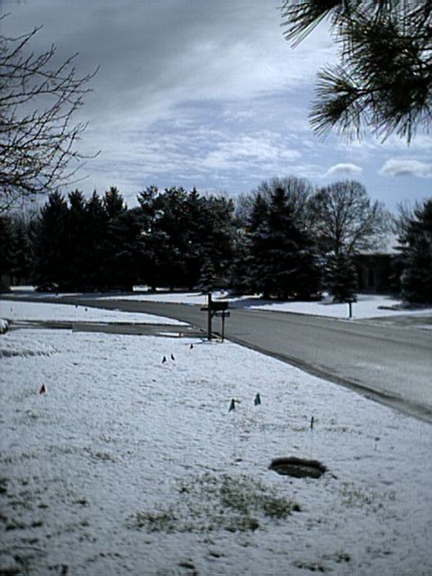 Snow in Buffalo