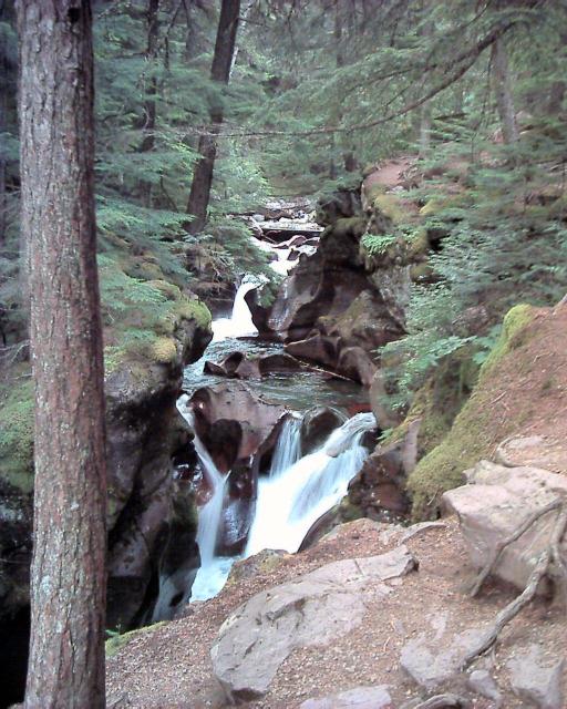 Avalanche Creek Falls