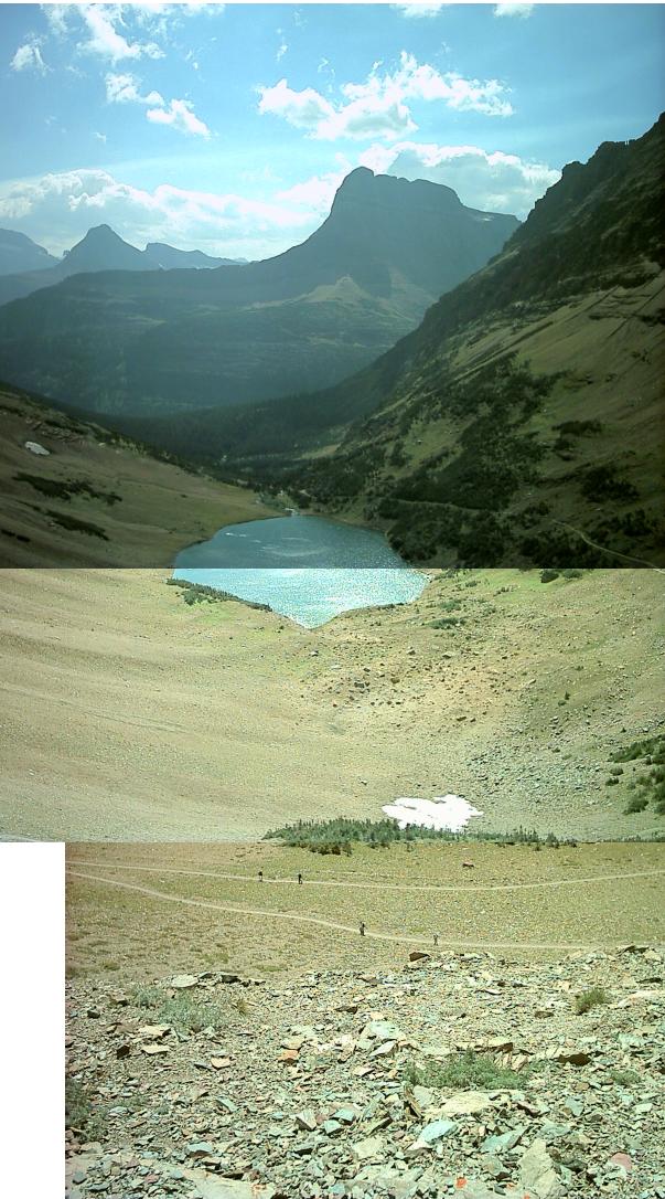 Ptarmigan Panorama