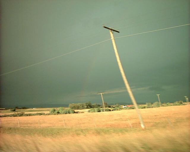 Montana Rainbow