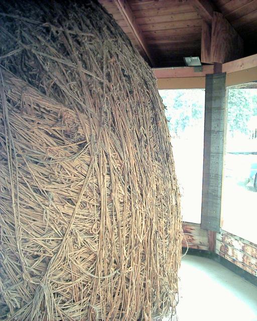 Biggest Ball of Twine in Minnesota