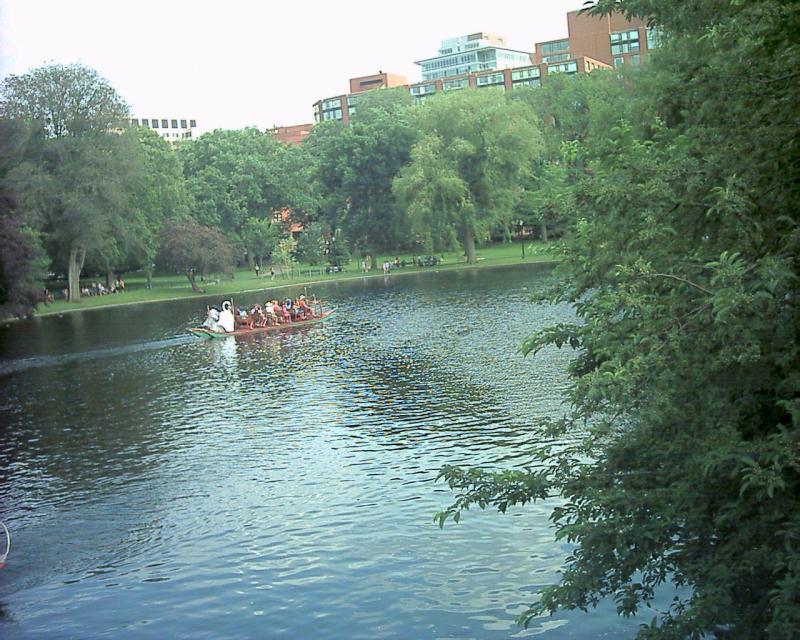 Swan Boats