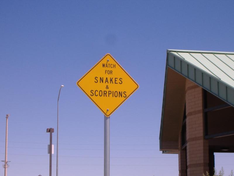 Watch for Snakes