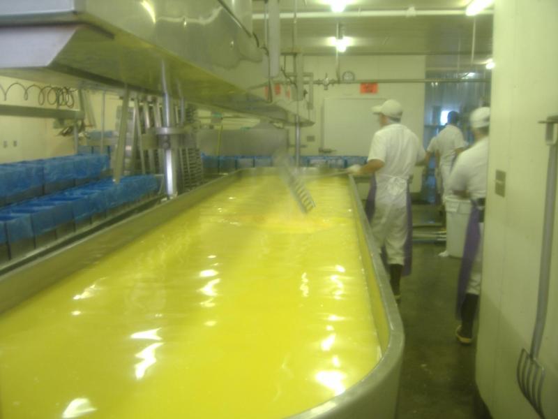 Loleta Cheese Factory