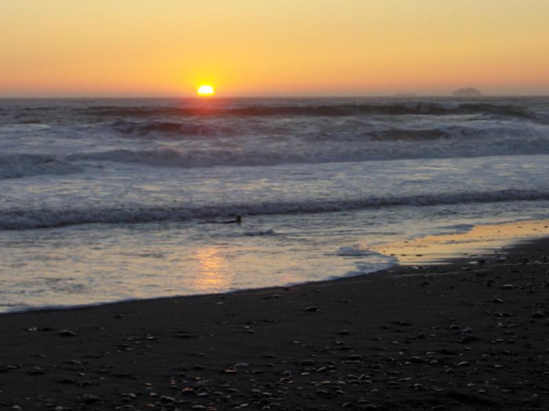 Otter Sunset