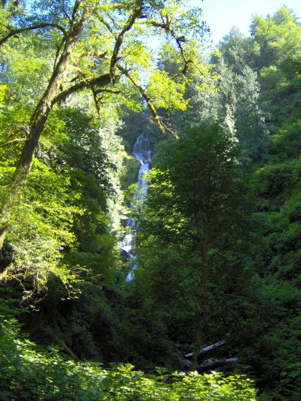 Munson Falls