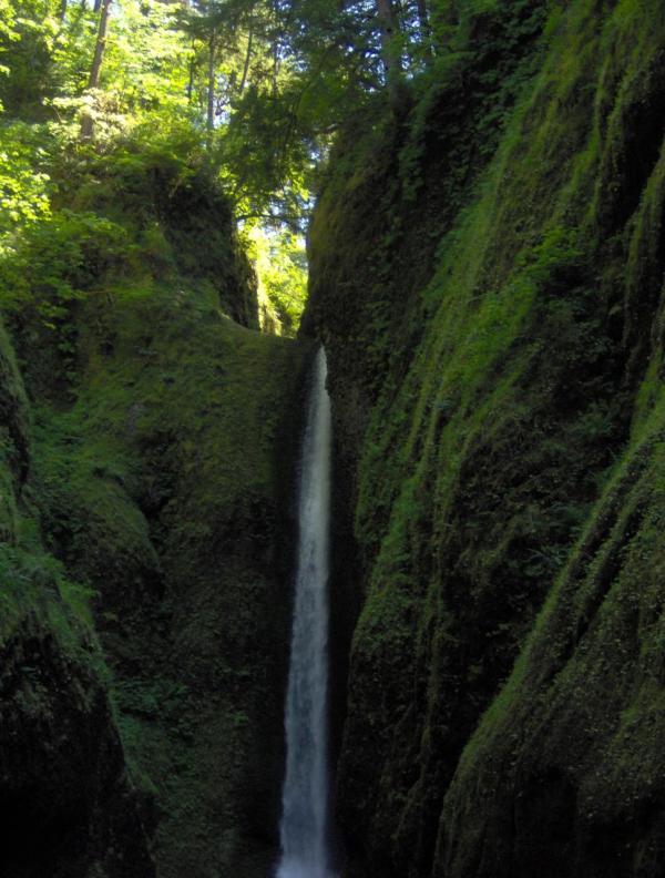 Oneonta Falls