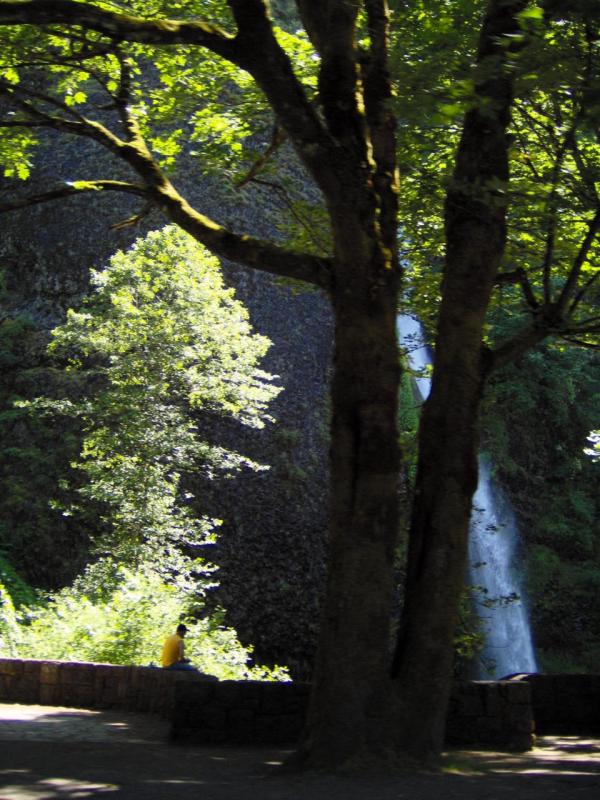 Horsetail Falls