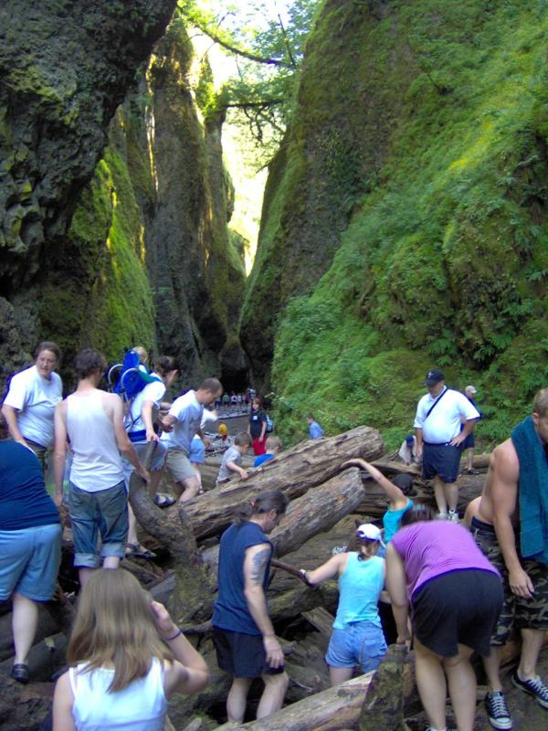 Oneonta Log Jam