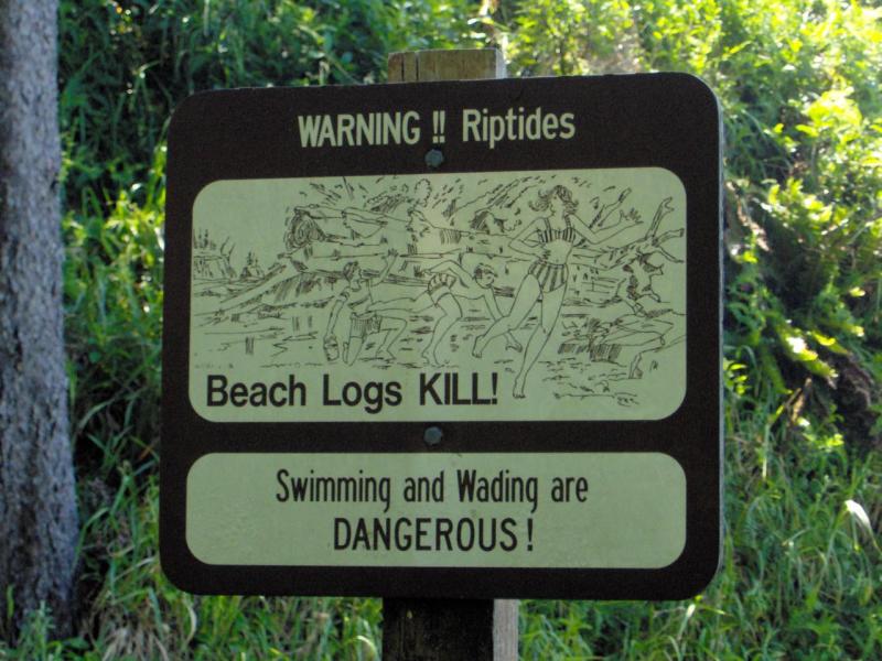 Beach Logs Kill