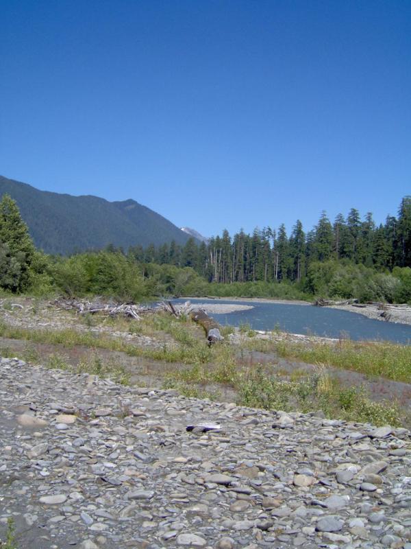 Hoh River