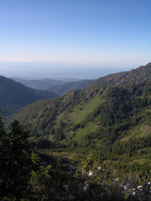 Hurricane Ridge