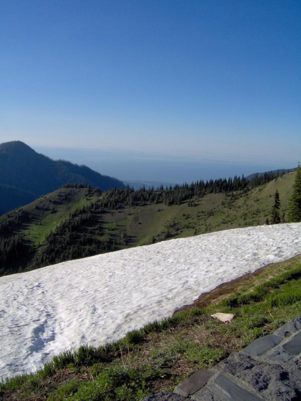 Hurricane Ridge