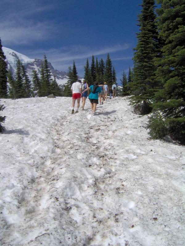 Snowy Trail