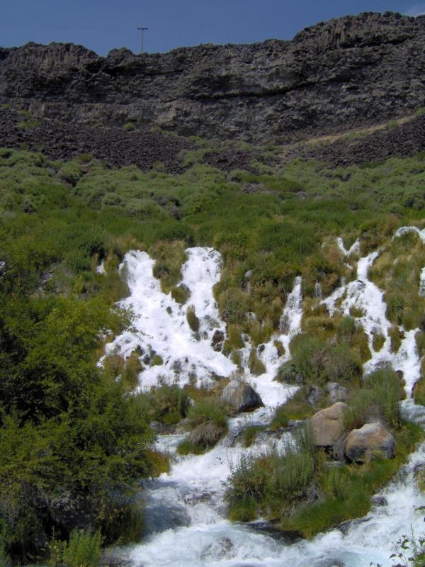 Niagara Springs