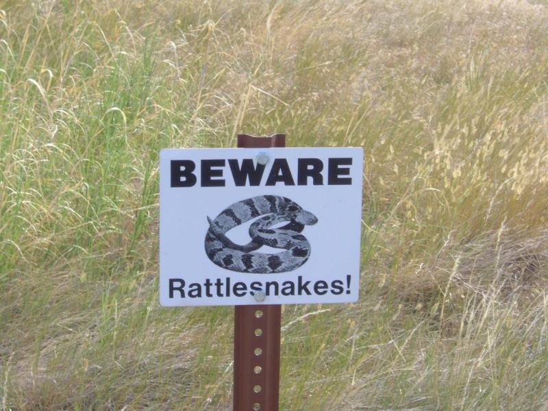 Watch for Snakes