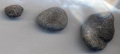 Petoskey Stones