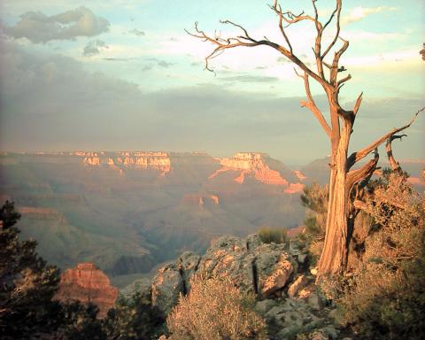 Grand Canyon