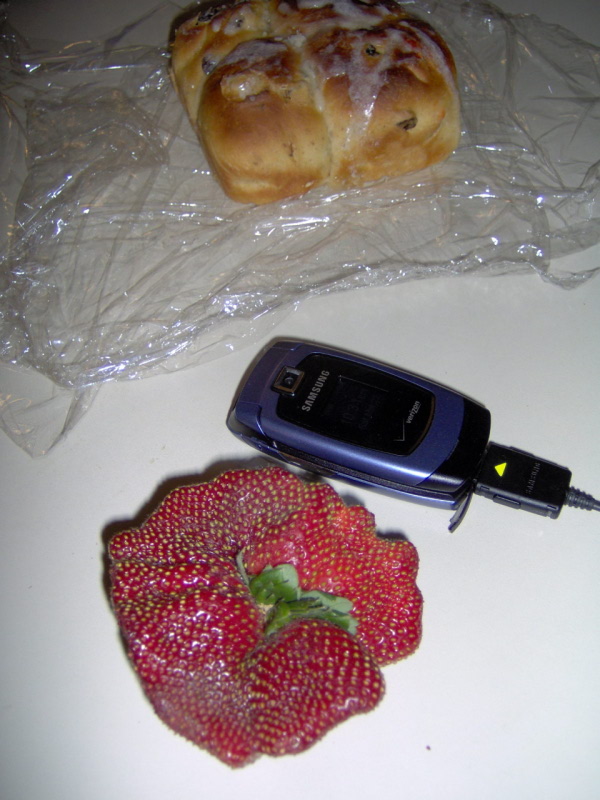 mega strawberry