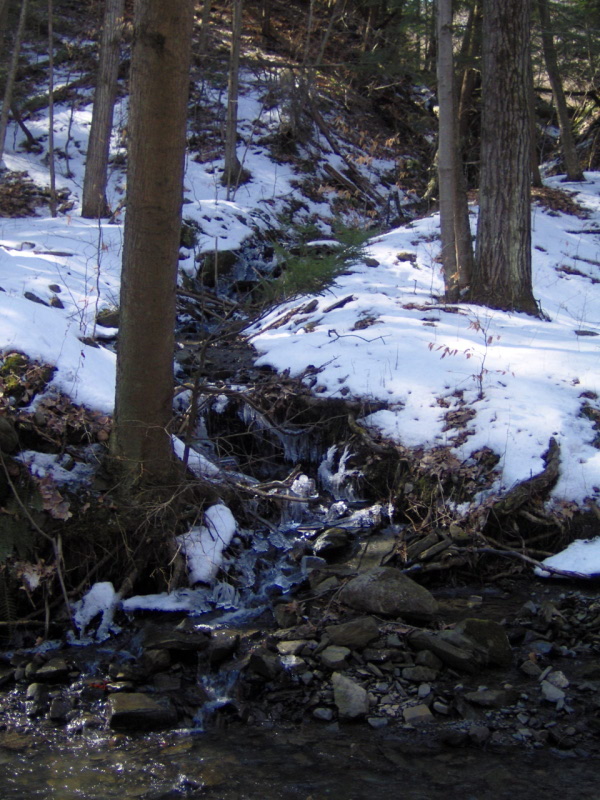 ellis hollow falls