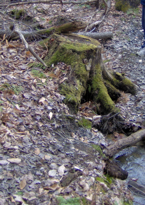 Irvin Natural Bridge