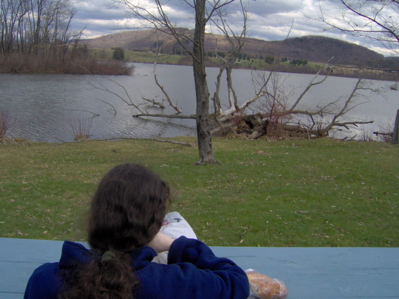 Dryden Lake Picnic