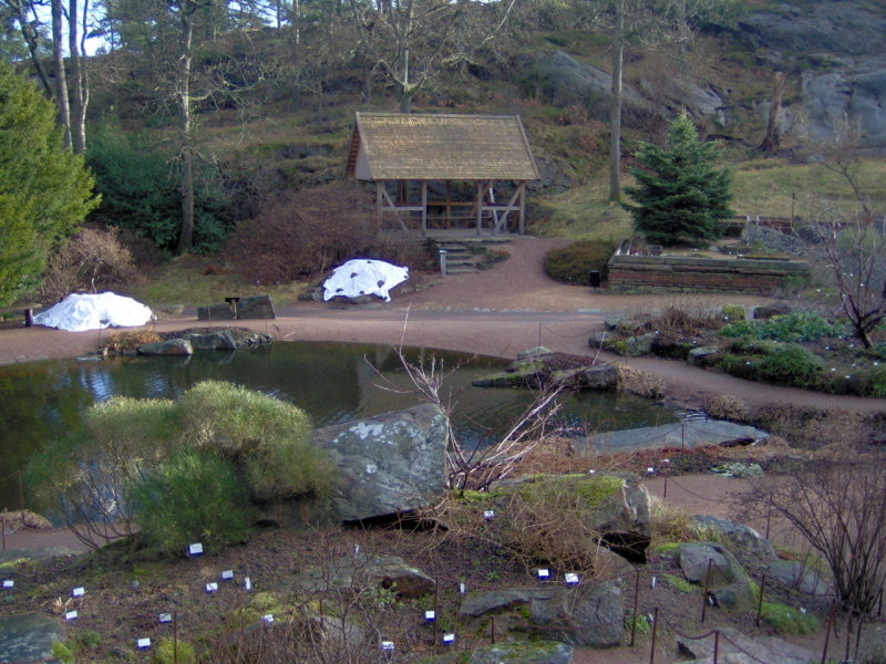 Goeteborg Botanical Gardens