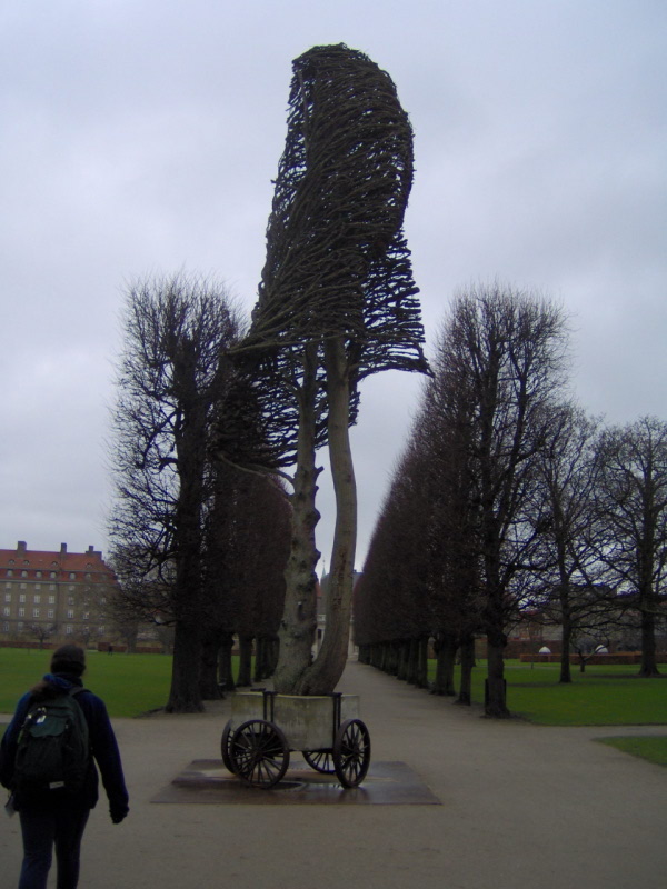 Wheely Tree