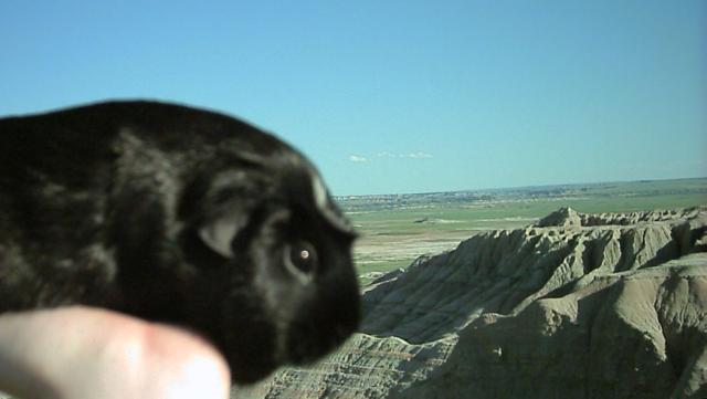 Susie in South Dakota