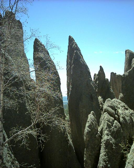 Black Hills Needles