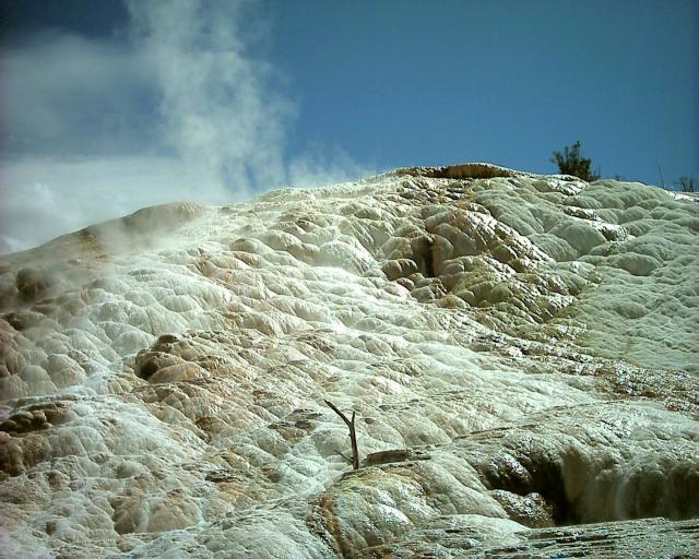 Mammoth Hot Springs