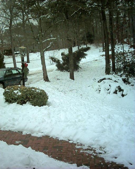 Cape Cod Snow