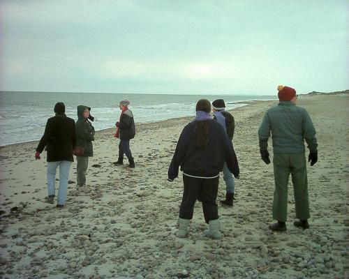 Bundled on the Beach