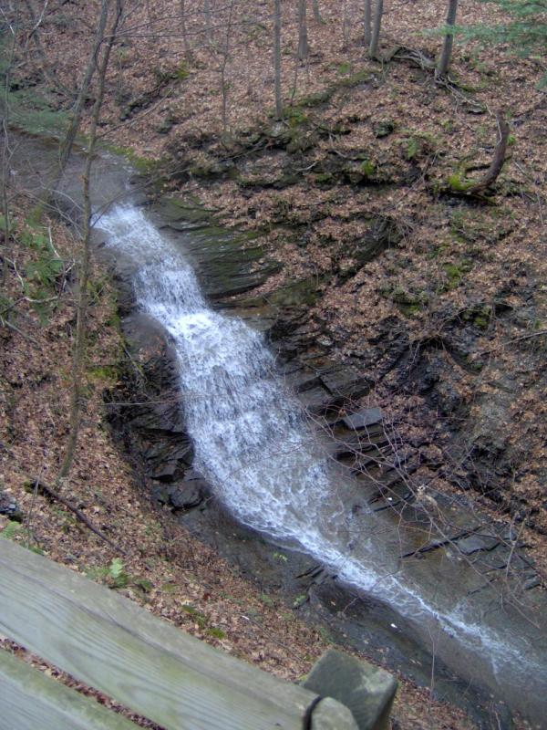 Cayuga Nature Center Waterfall