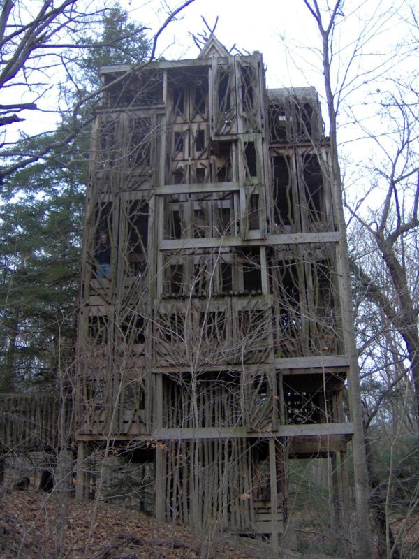 Vince in a Treehouse